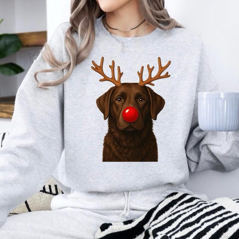 Christmas Reindeer Dog sweatshirt