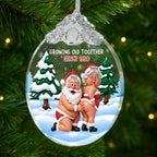 Growing Old Together, Personalized Glass Ornament, Gift For Couples - 4