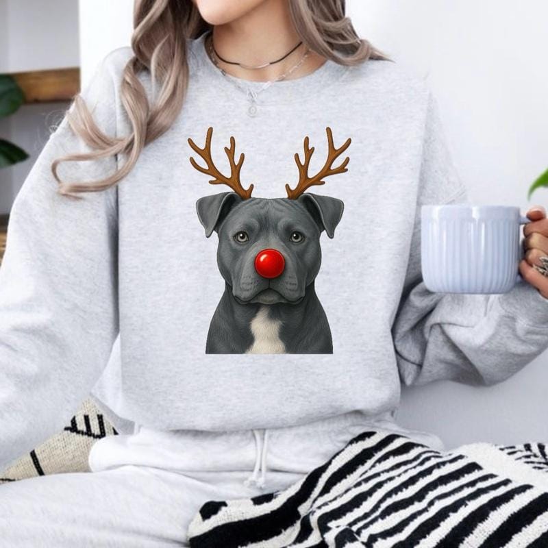 Christmas Reindeer Dog sweatshirt