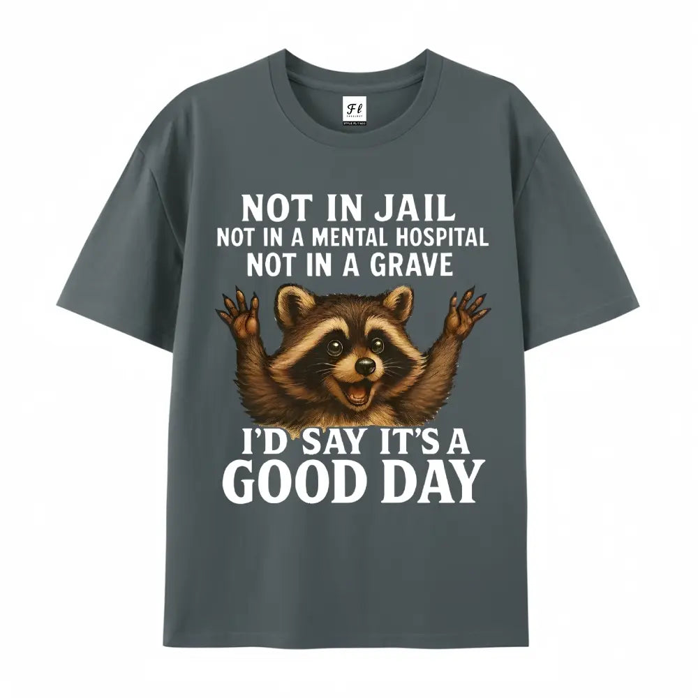Women's Plus Size Funny Raccoon T-Shirt - "Not in Jail... Good Day" Sarcastic Graphic Tee - Soft Black Casual Top