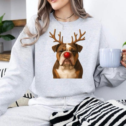 Christmas Reindeer Dog sweatshirt